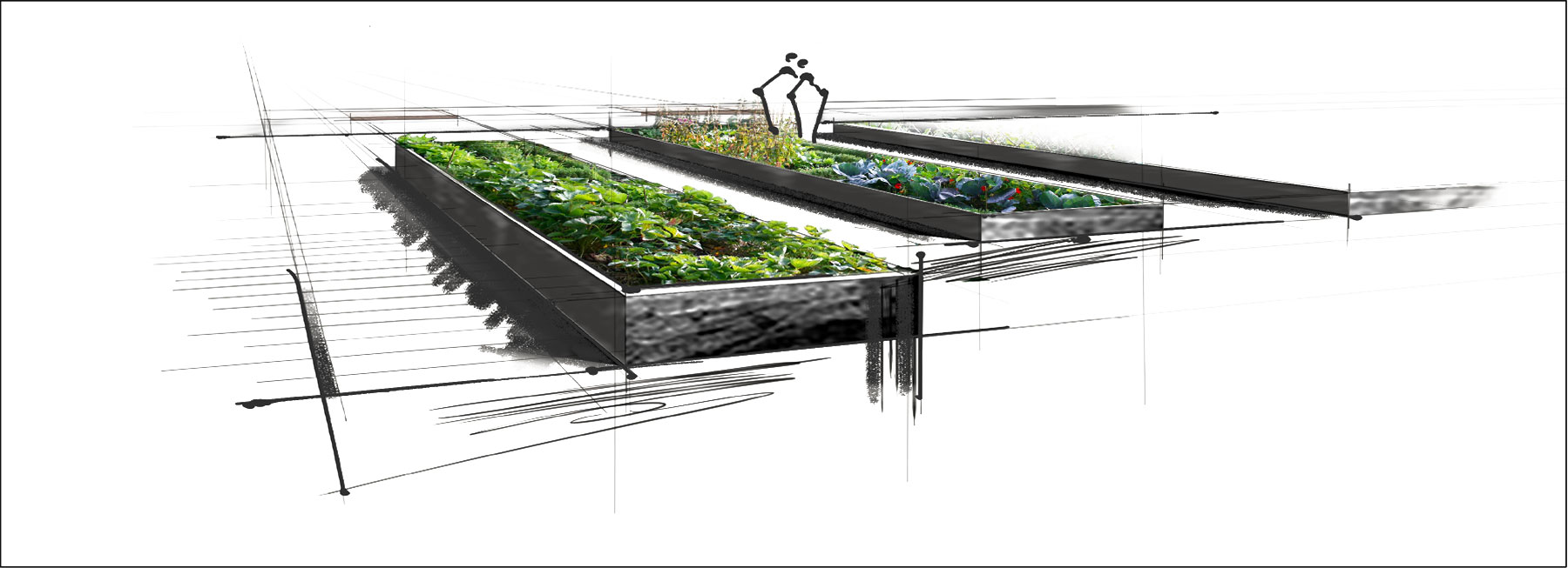 fassade